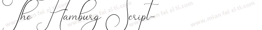 The Hamburg Script字体转换